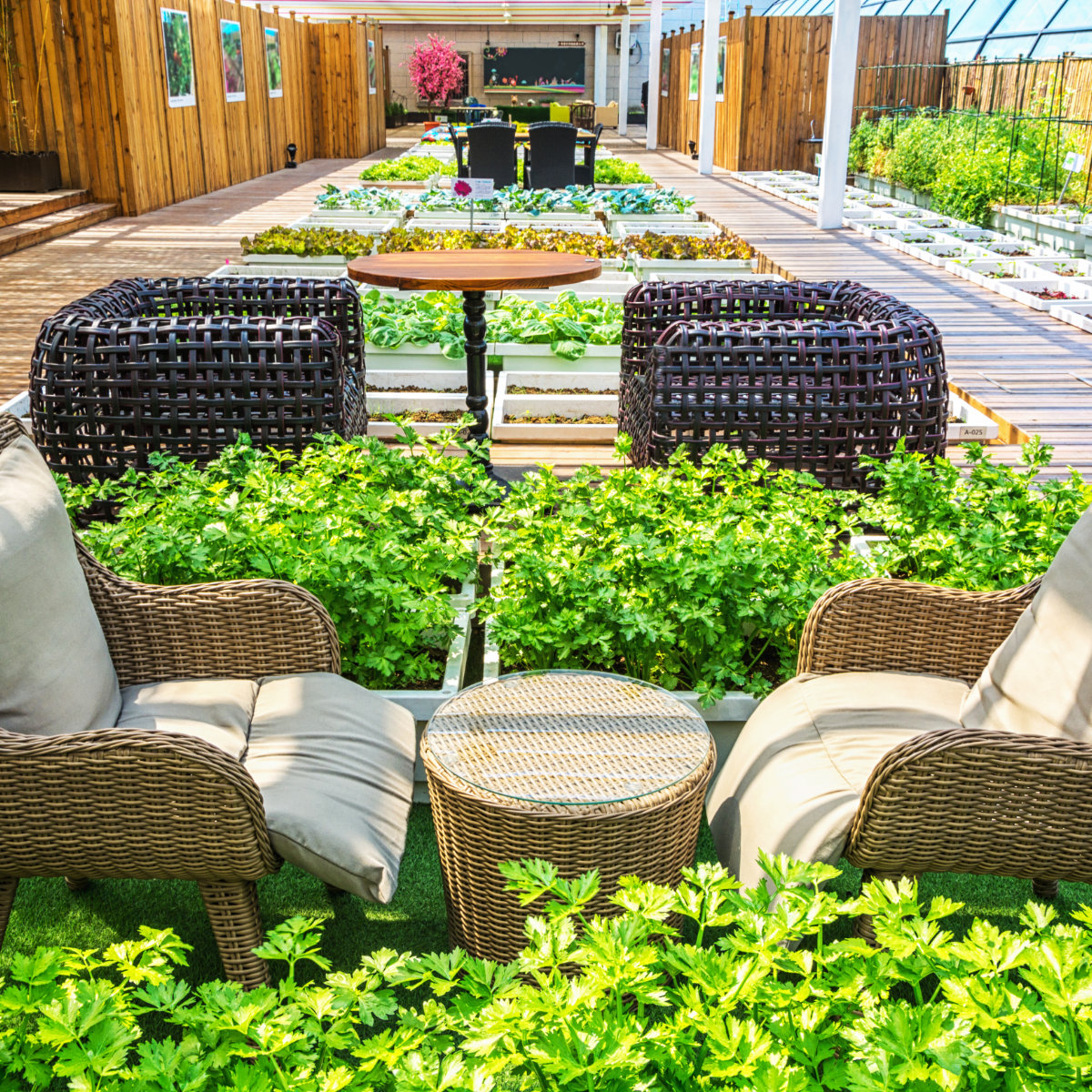 wooden-pergola2